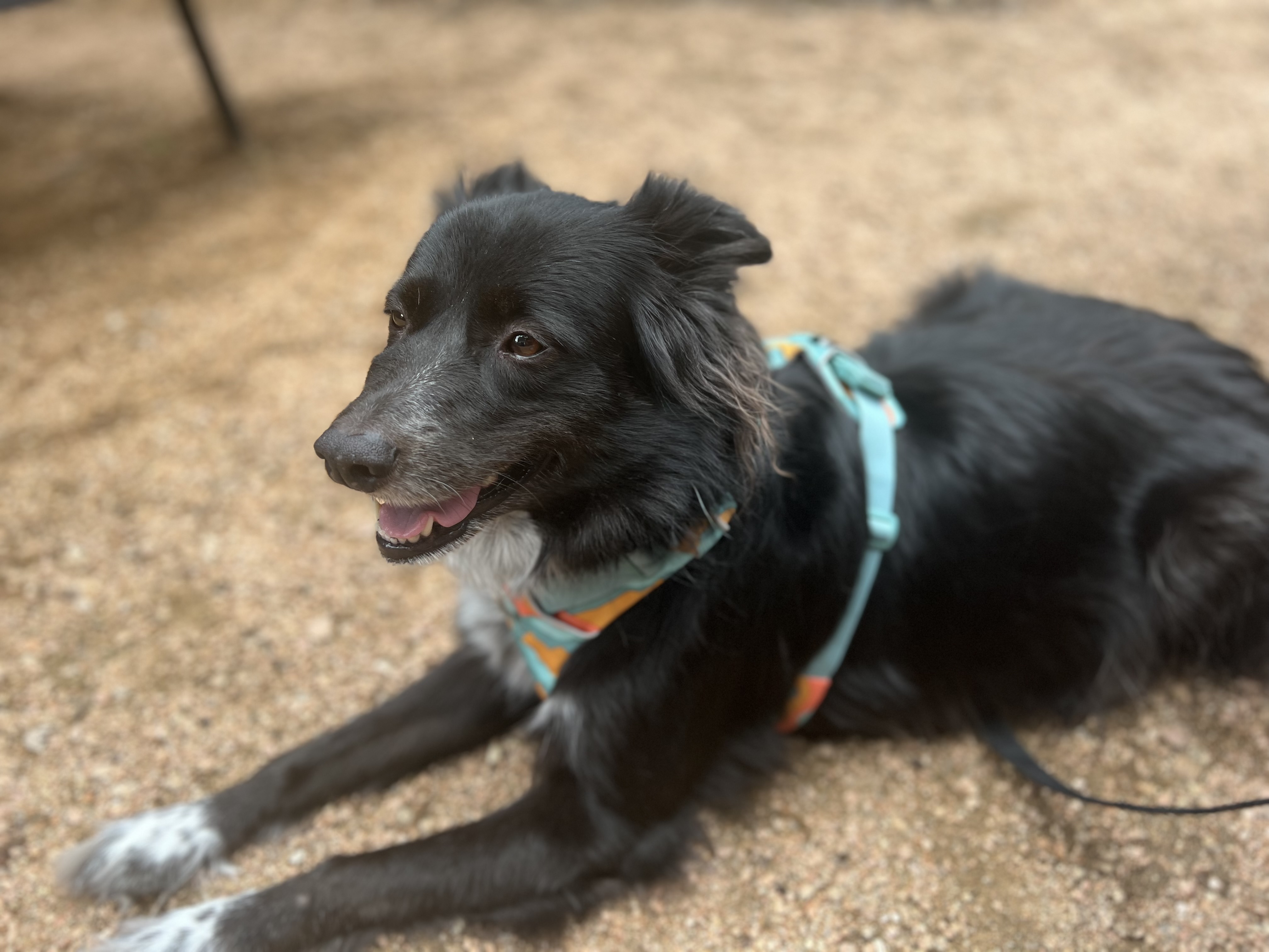 Luna, Certified Good Girl