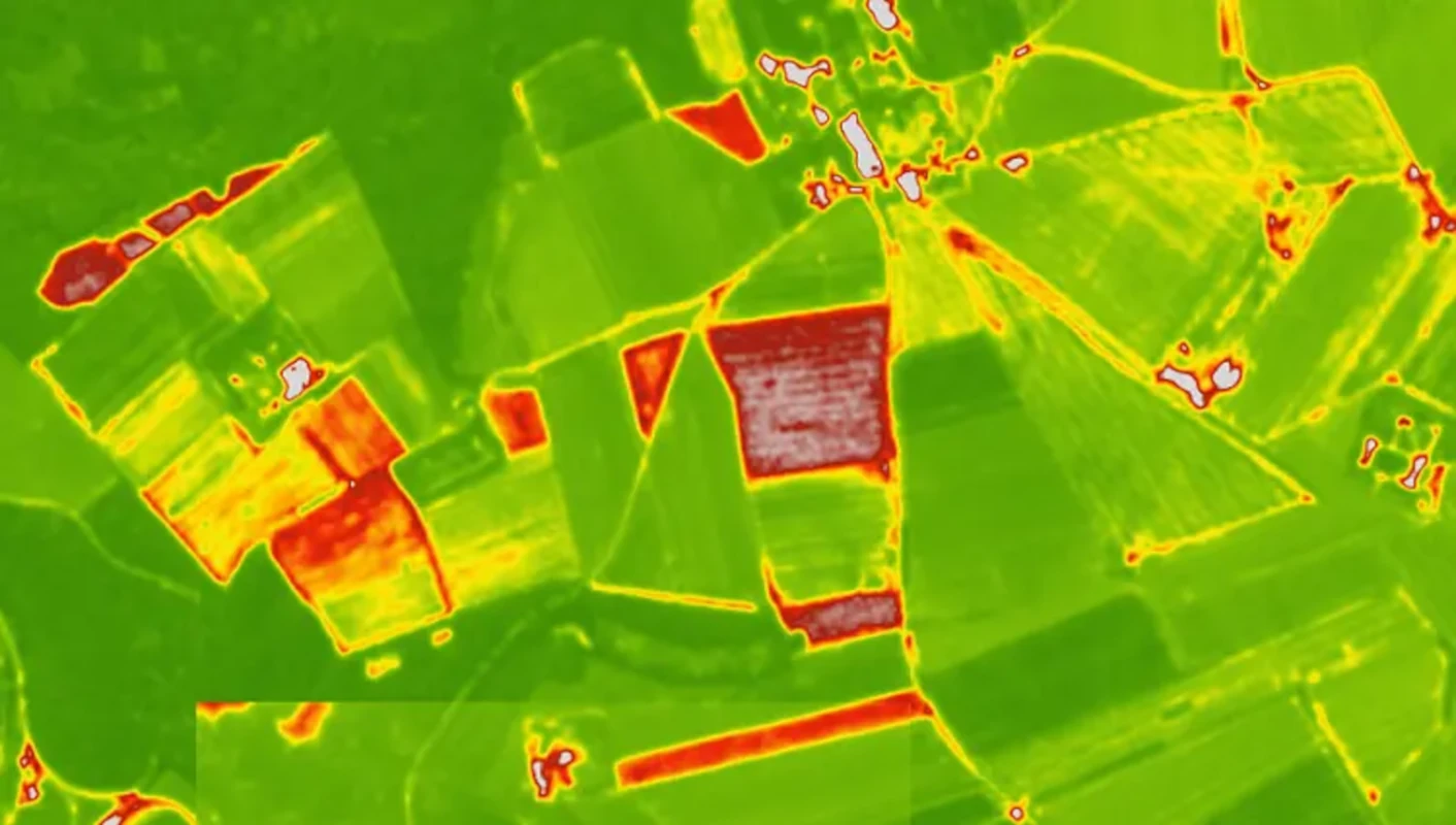 Raster imagery showing NDVI values.